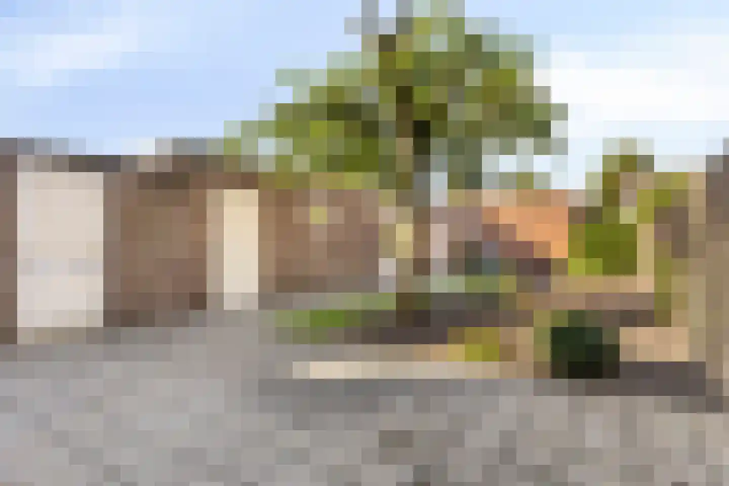 Saxofoonstraat 35 Uden thumbnail 26