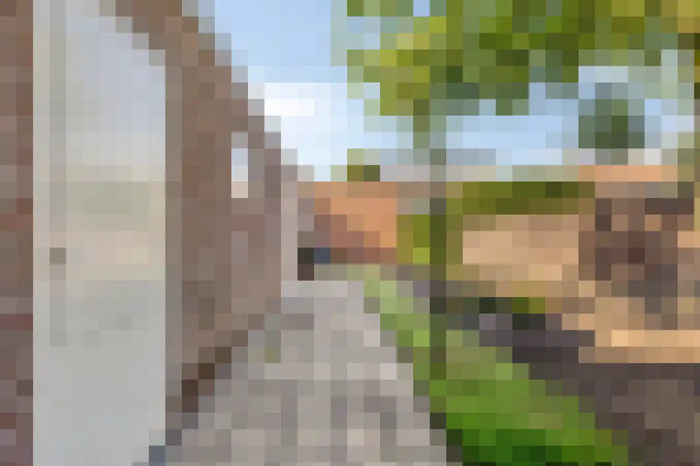 Saxofoonstraat 35 Uden thumbnail 27