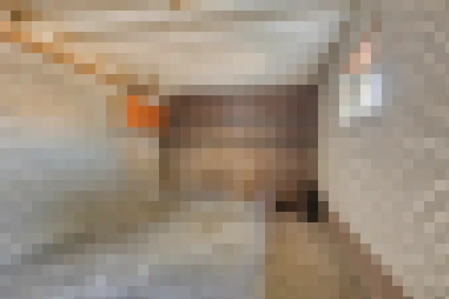 Saxofoonstraat 35 Uden thumbnail 28