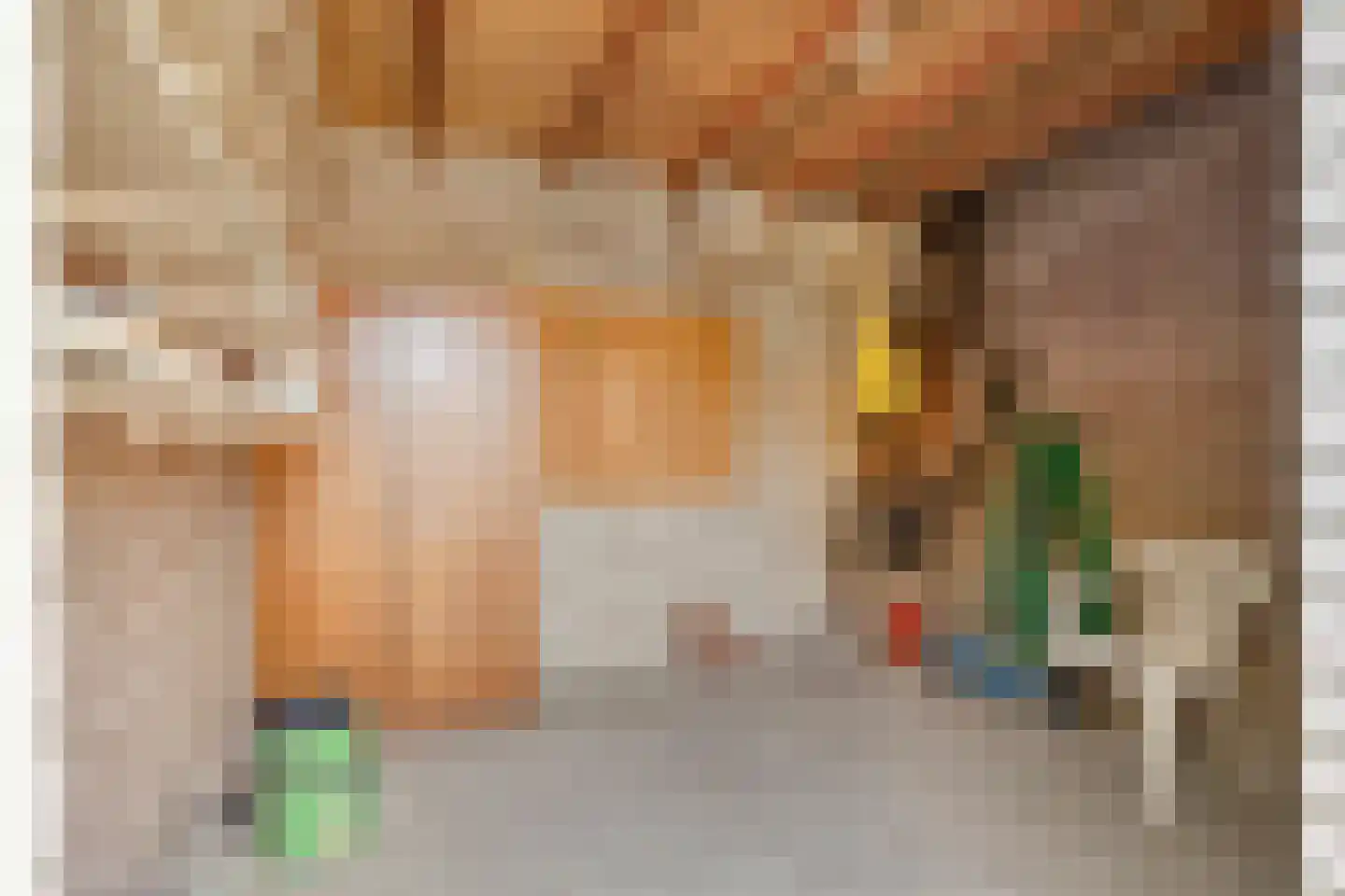 Saxofoonstraat 35 Uden thumbnail 30