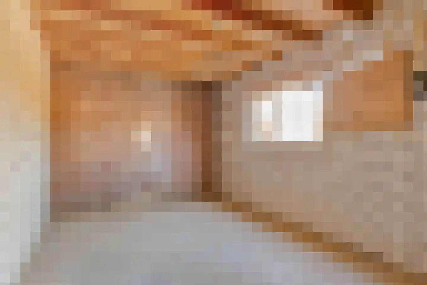 Saxofoonstraat 35 Uden thumbnail 31