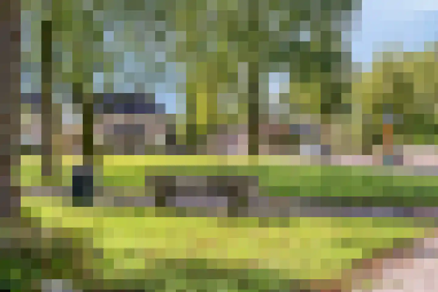 Saxofoonstraat 35 Uden thumbnail 32