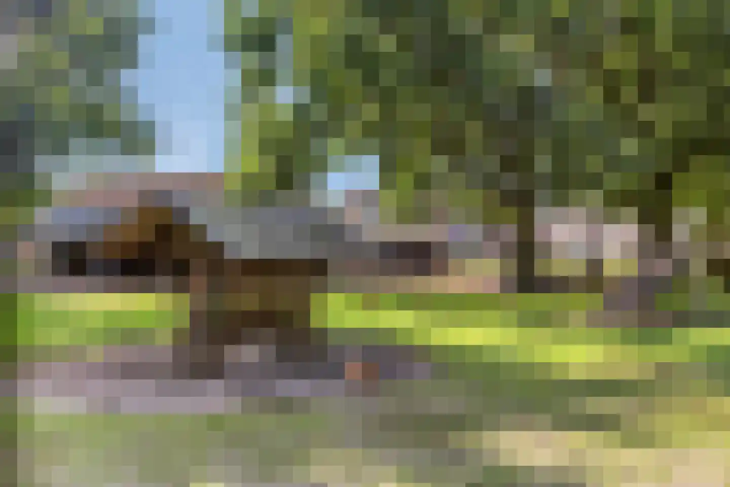 Saxofoonstraat 35 Uden thumbnail 33