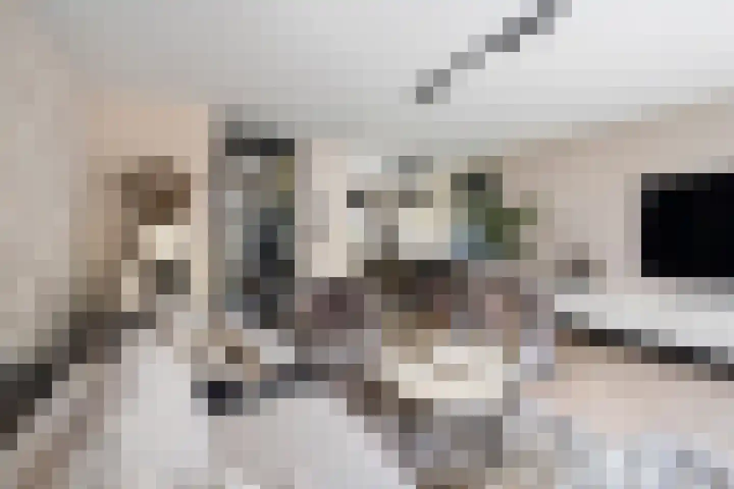 Saxofoonstraat 8 Spijkenisse thumbnail 10