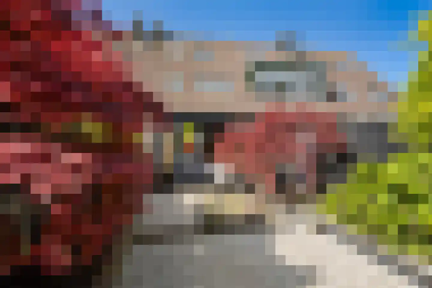 Saxofoonstraat 8 Spijkenisse thumbnail 17