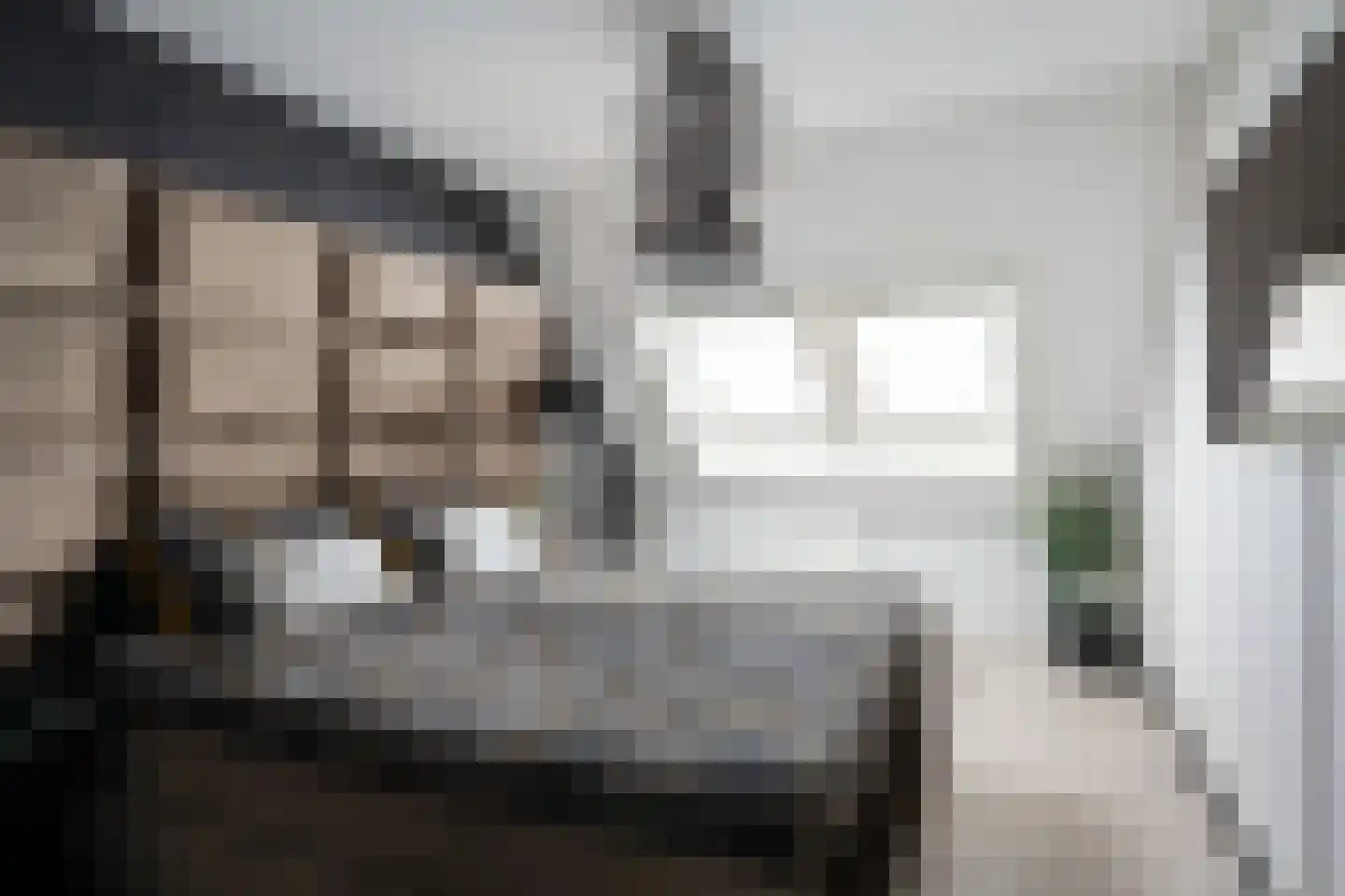 Saxofoonstraat 8 Spijkenisse thumbnail 20
