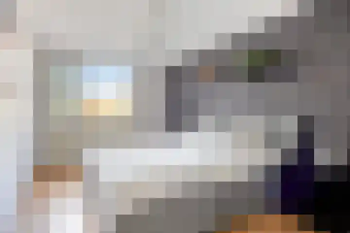 Saxofoonstraat 94 Helmond thumbnail 24