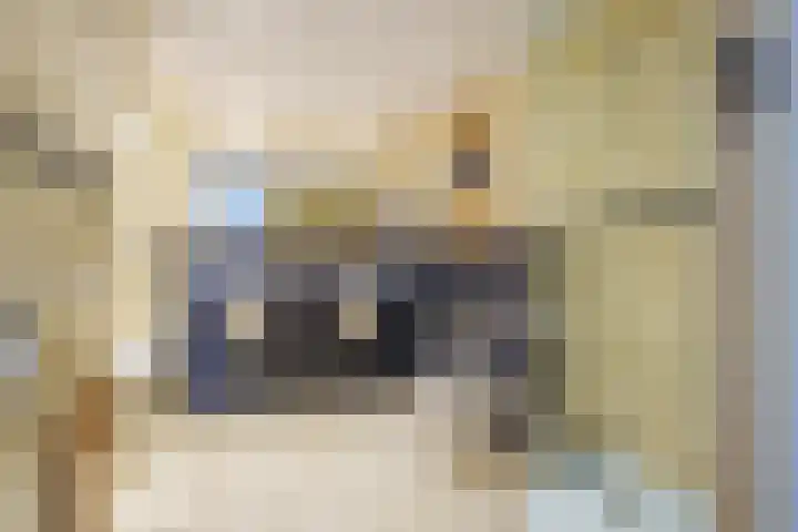 Saxofoonweg 55 Almere thumbnail 31