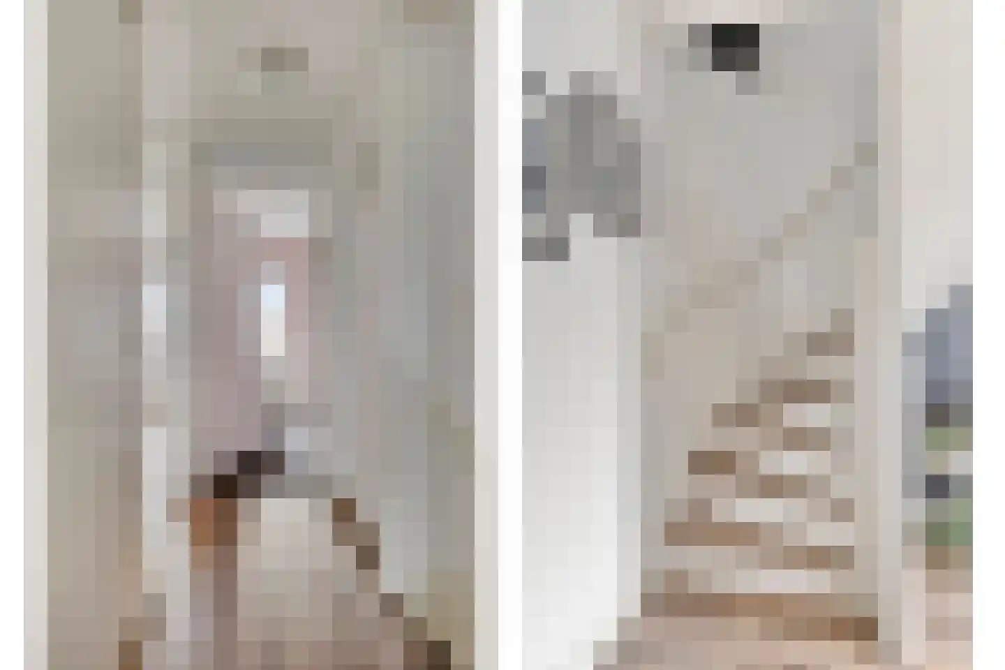 Scaldisstraat 2 b Scherpenisse thumbnail 29