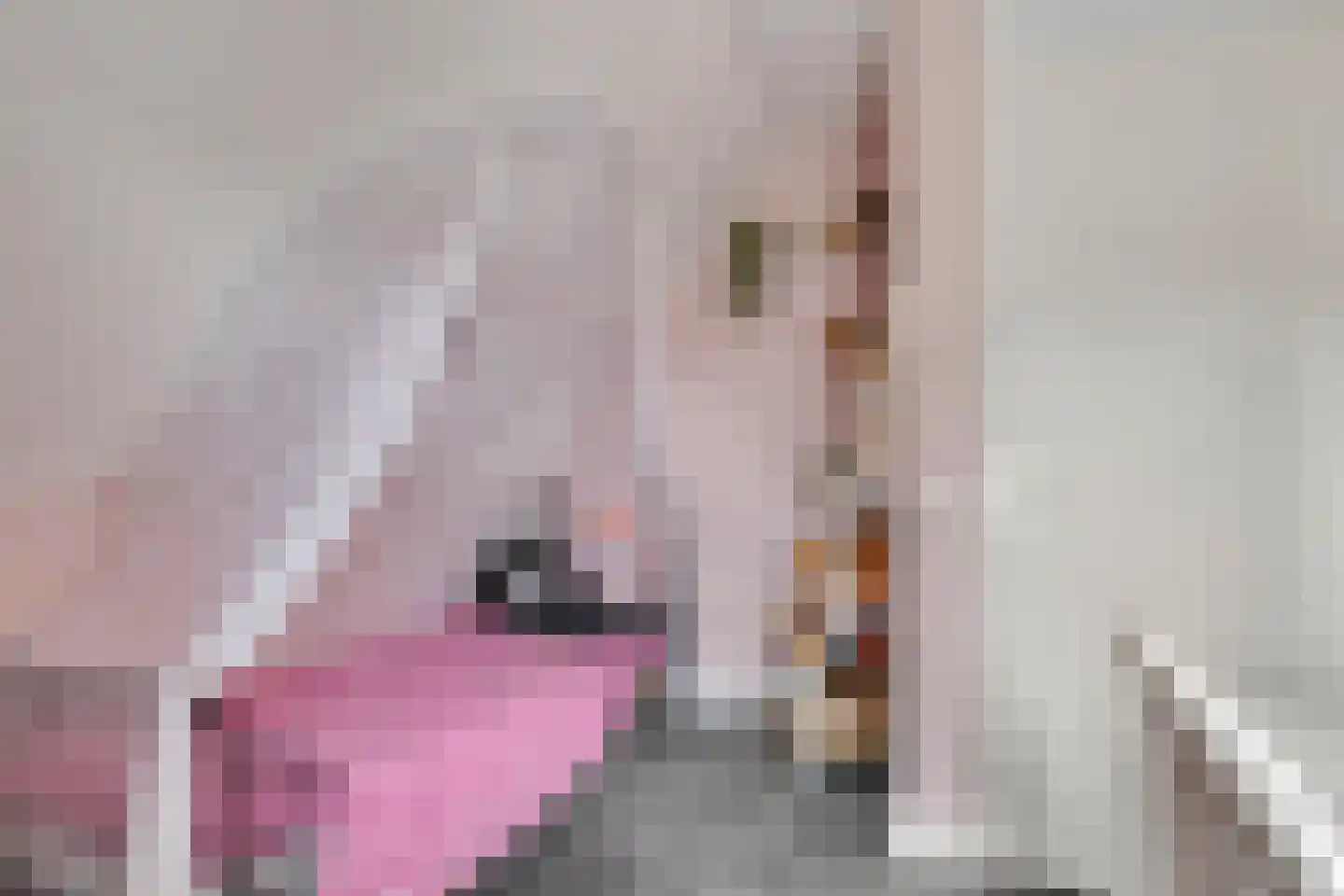 Scaldisstraat 2 b Scherpenisse thumbnail 35
