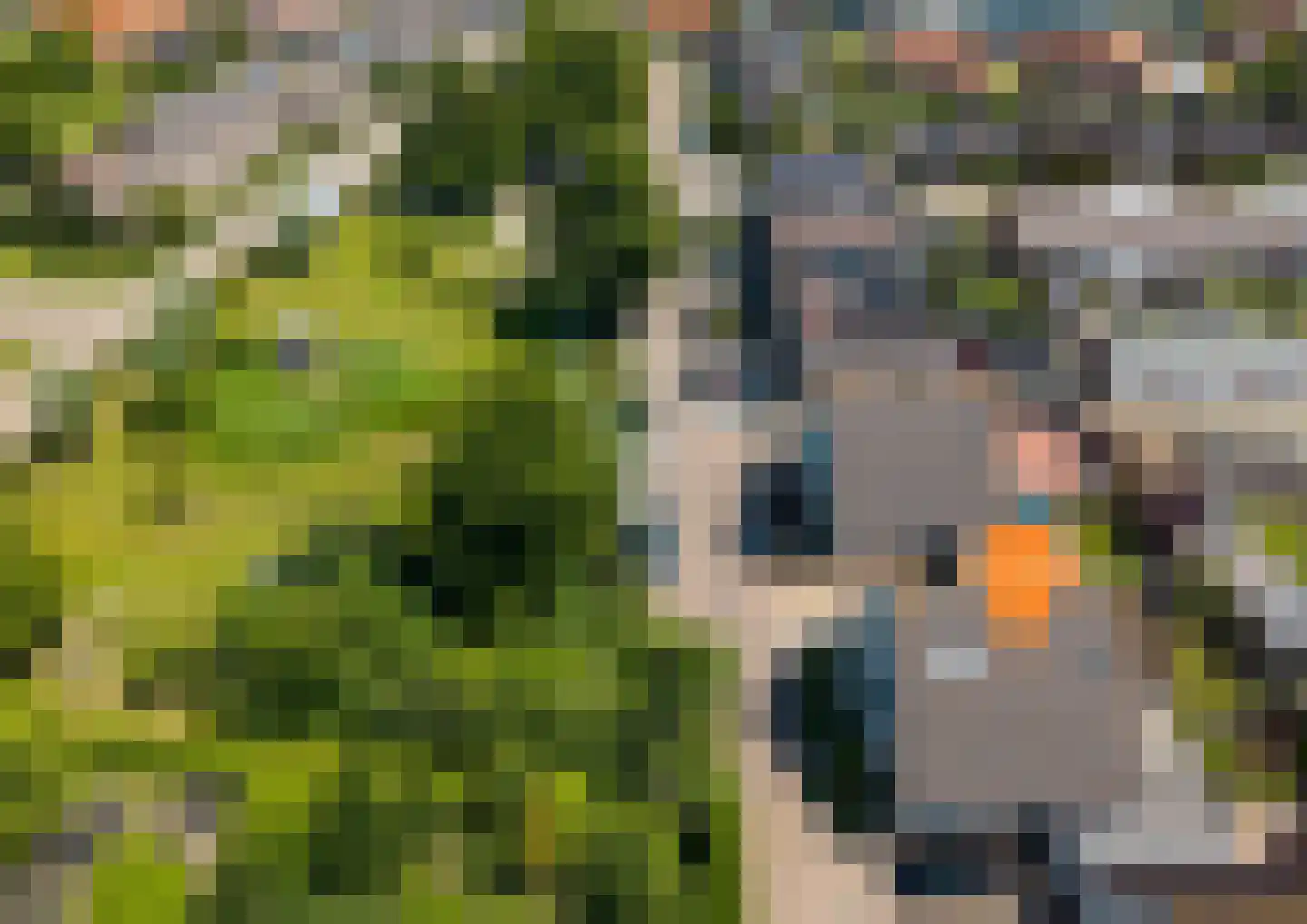 Scaldisstraat 2 b Scherpenisse thumbnail 48