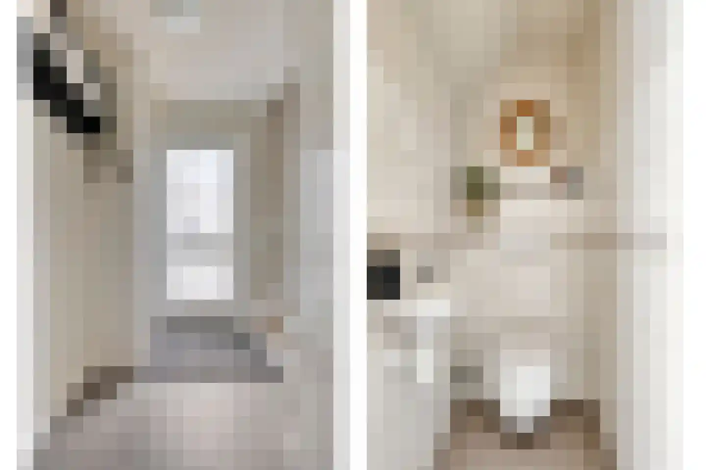 Scaldisstraat 2 b Scherpenisse thumbnail 5