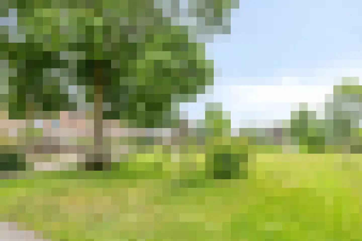 Scaldisstraat 2 b Scherpenisse thumbnail 50