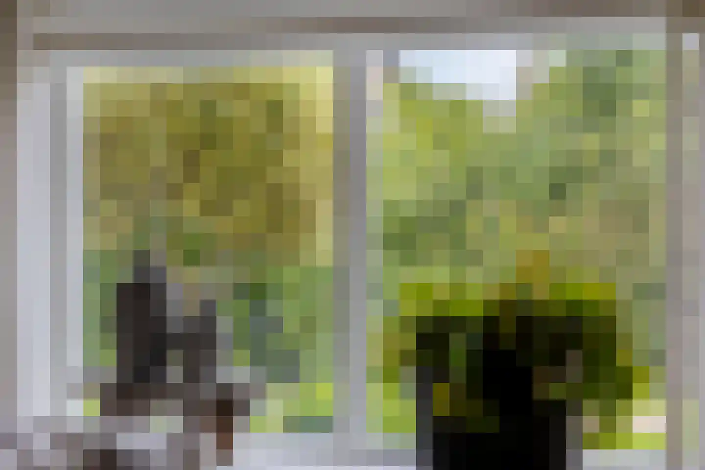 Scaldisstraat 2 b Scherpenisse thumbnail 8