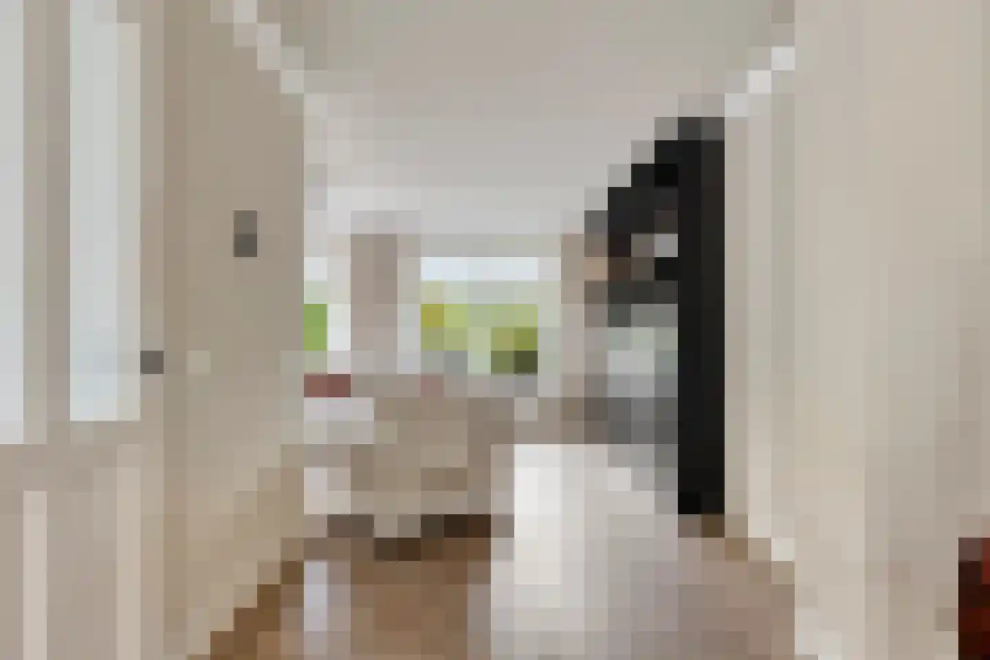 Scaldisstraat 2 b Scherpenisse thumbnail 9