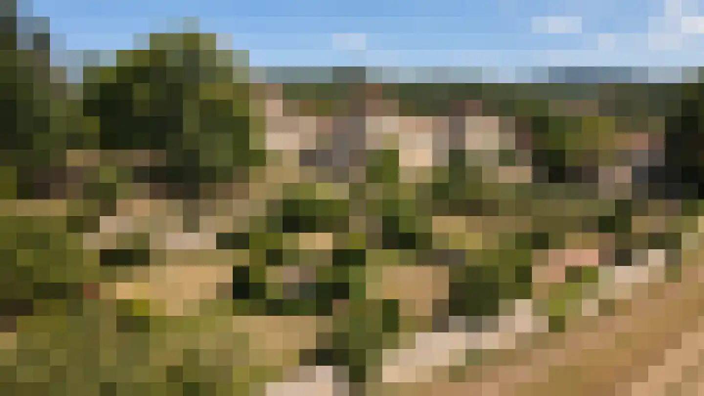 Scandinavië-route 97 Denekamp