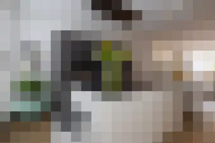 Scandinaviëkade 101 Almere thumbnail 5