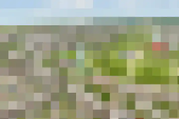 Scandinaviëkade 163 Almere thumbnail 39