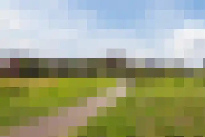 Scandinaviëkade 31 D Almere thumbnail 30