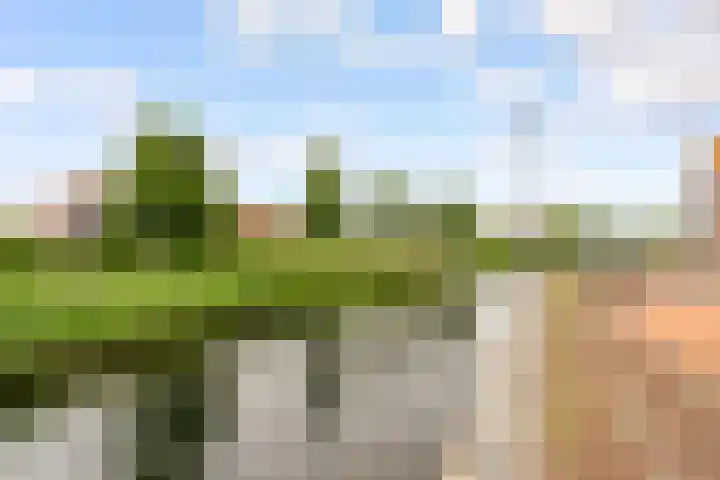 Scandinaviëkade 55 Almere thumbnail 30