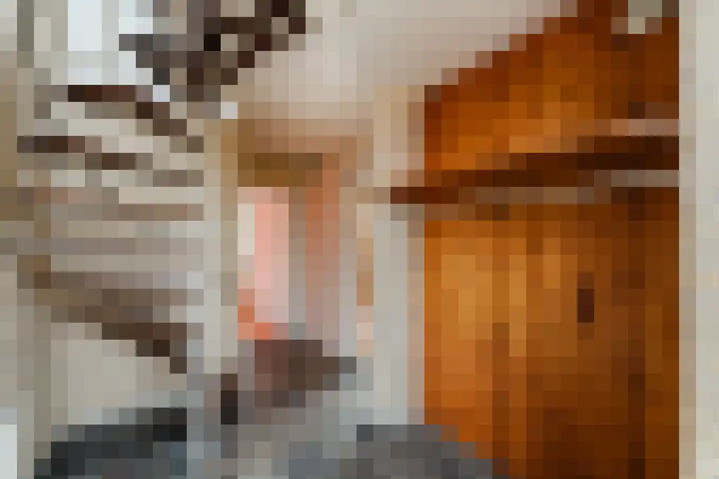 Scandinaviëlaan 23 Emmeloord thumbnail 15