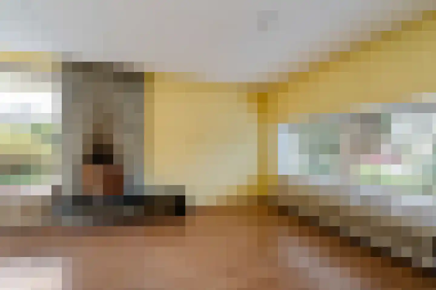 Scandinaviëlaan 23 Emmeloord thumbnail 16