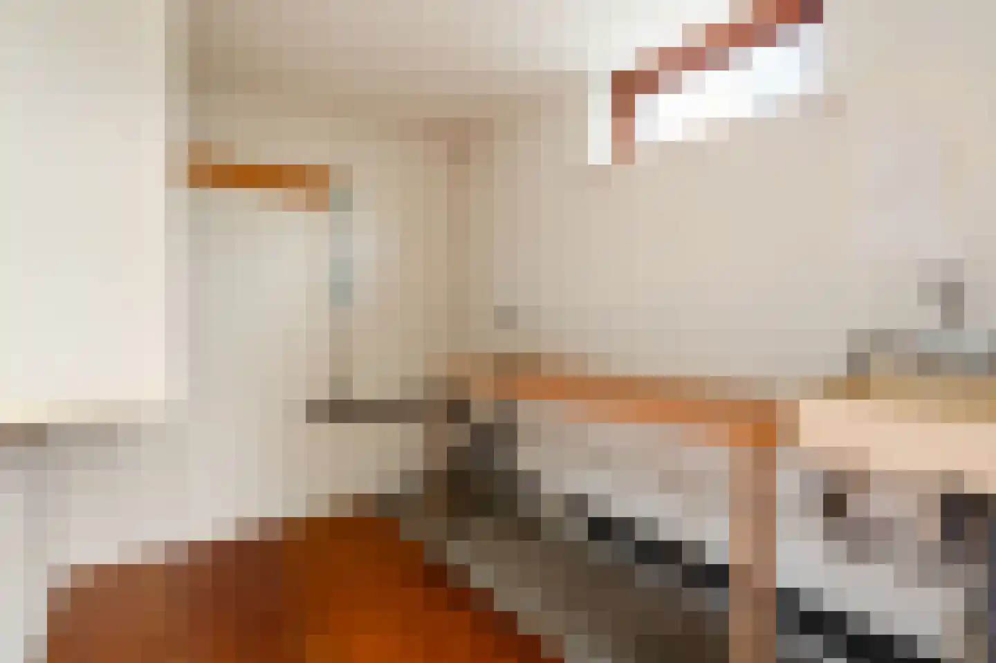 Scandinaviëlaan 23 Emmeloord thumbnail 25