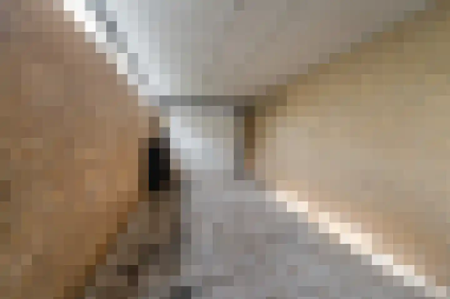 Scandinaviëlaan 23 Emmeloord thumbnail 31