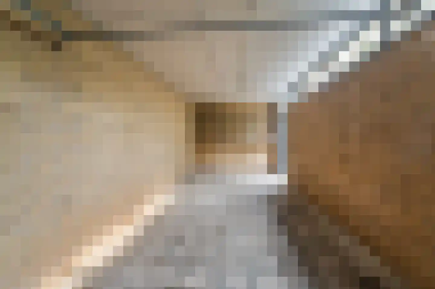 Scandinaviëlaan 23 Emmeloord thumbnail 32
