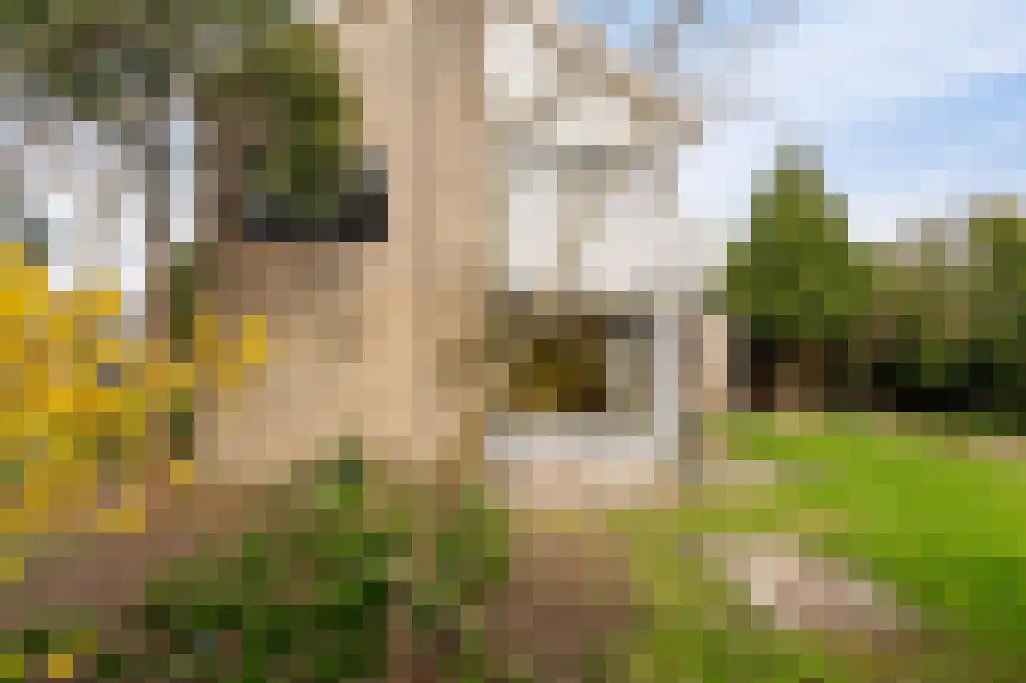Scandinaviëlaan 23 Emmeloord thumbnail 36