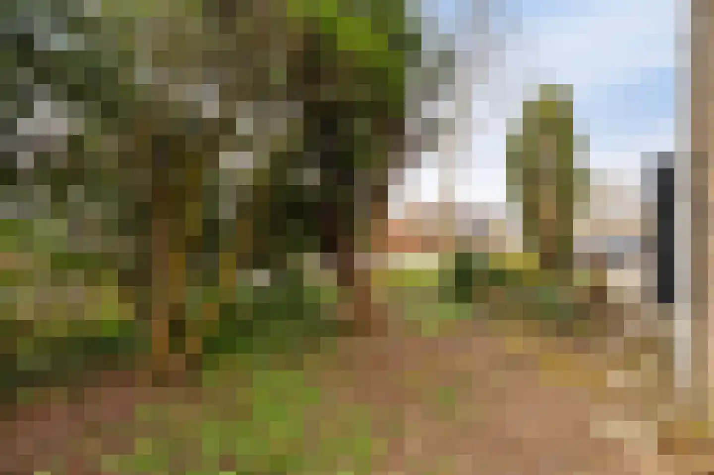 Scandinaviëlaan 23 Emmeloord thumbnail 37