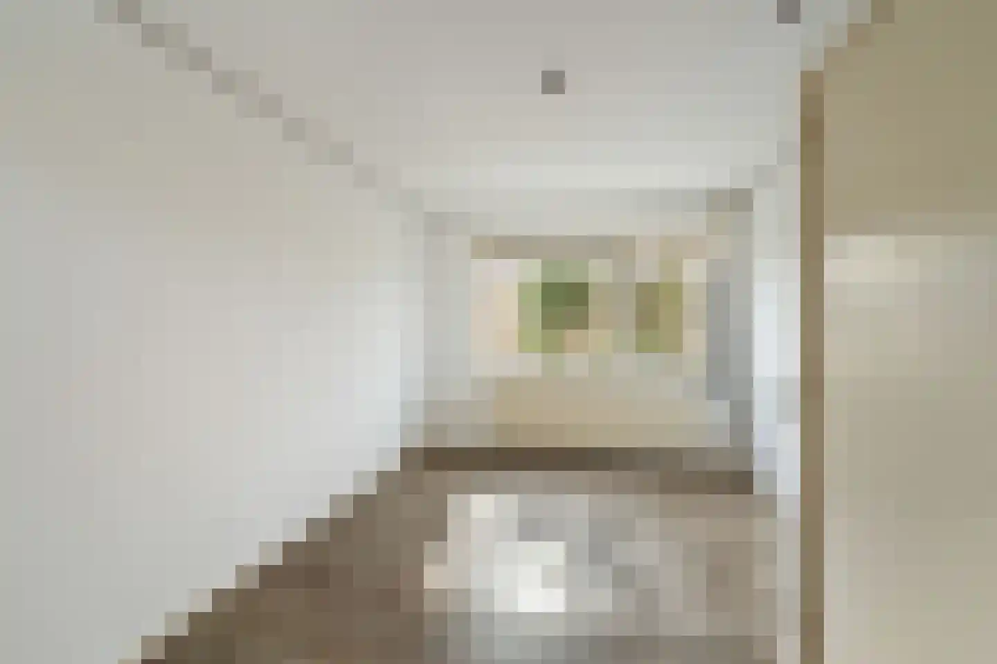 Scandinaviëlaan 23 Emmeloord thumbnail 40