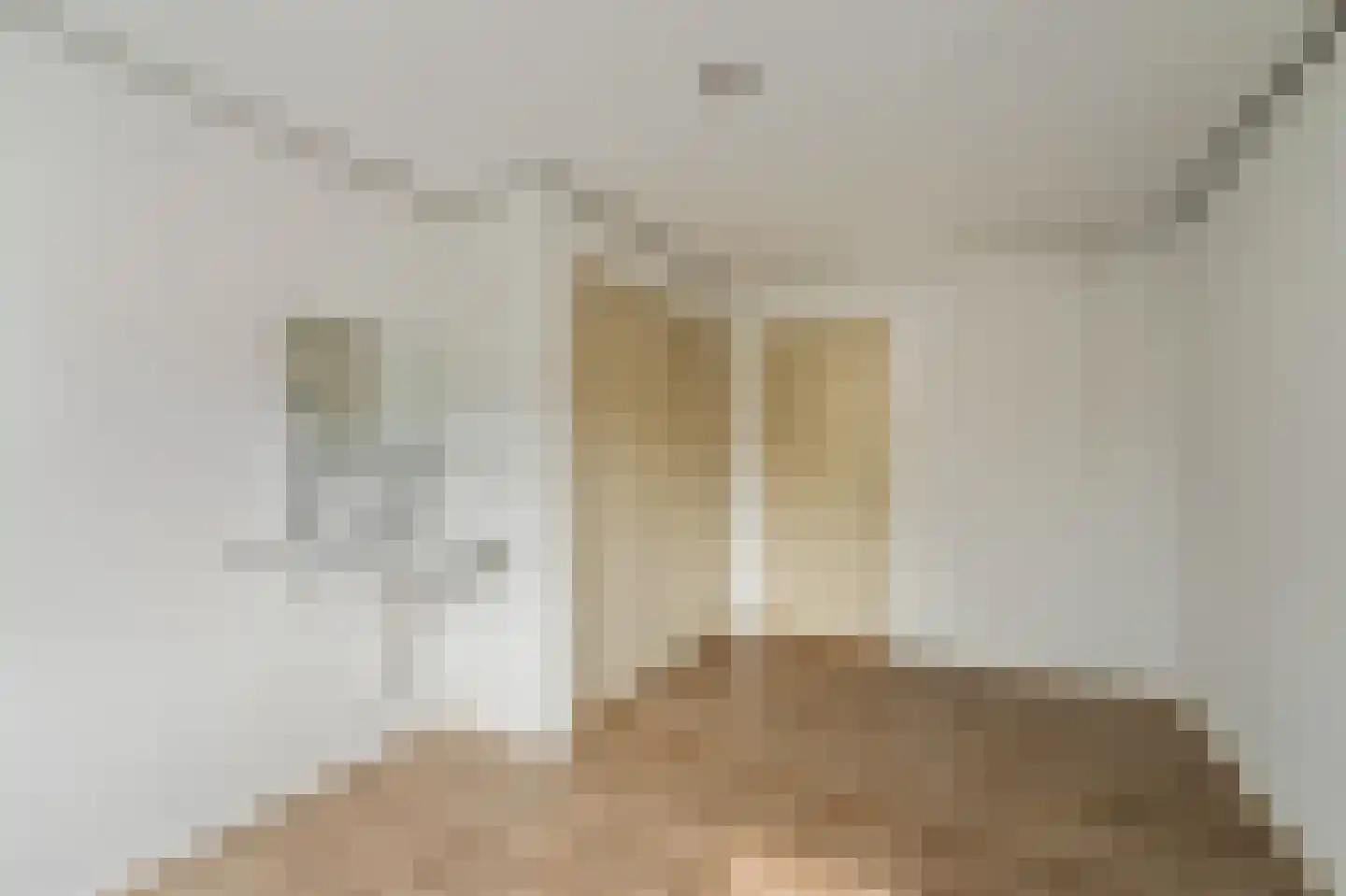 Scandinaviëlaan 23 Emmeloord thumbnail 40