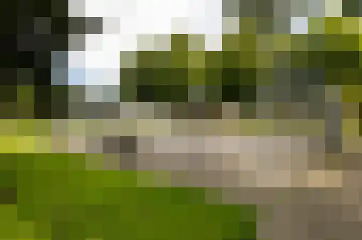 Scandinaviëlaan 56 Emmeloord thumbnail 35