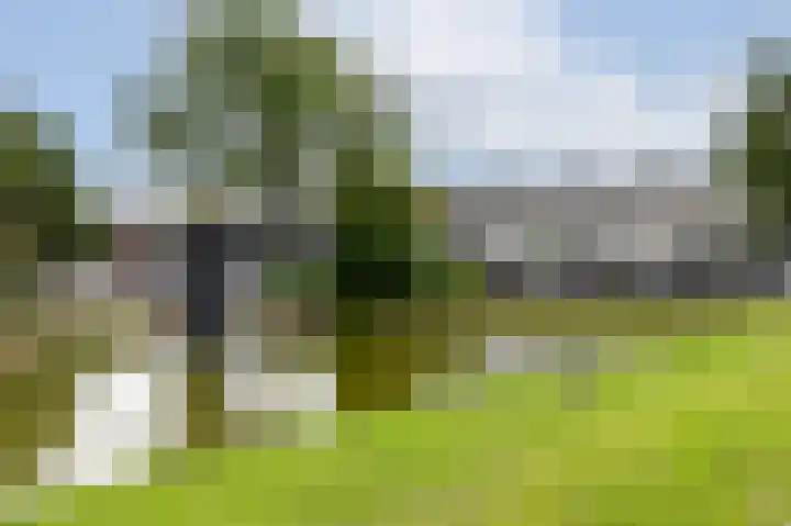 Scandinaviëlaan 56 Emmeloord thumbnail 36