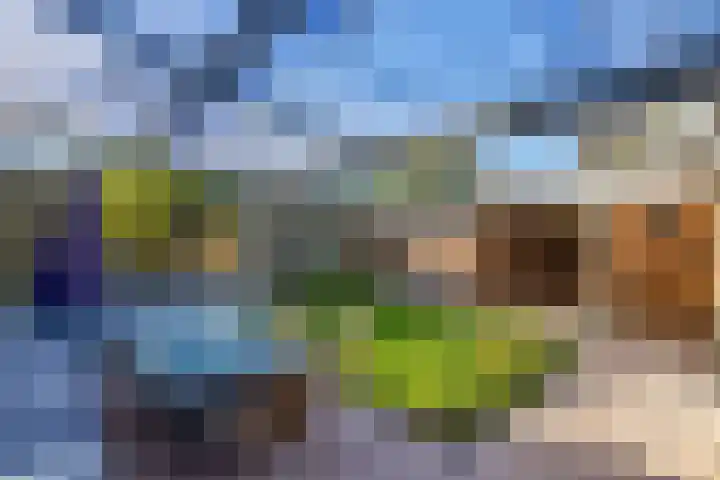 Scandinaviëlaan 60 Emmeloord thumbnail 22