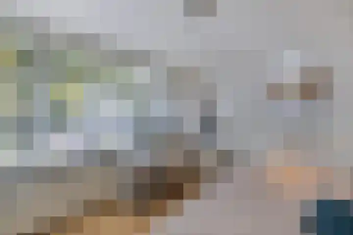 Scandinaviëlaan 60 Emmeloord thumbnail 32