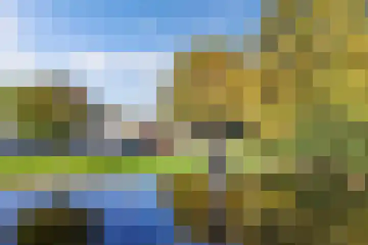 Scandinaviëlaan 60 Emmeloord thumbnail 39