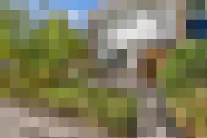 Scandinaviëlaan 60 Emmeloord thumbnail 5