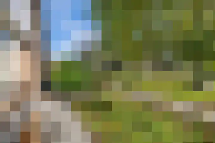 Scandinaviëlaan 60 Emmeloord thumbnail 6