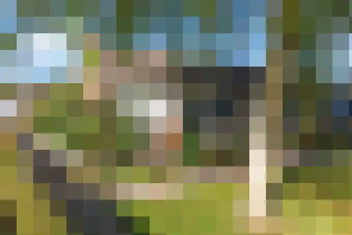Scandinaviëlaan 60 Emmeloord thumbnail 8