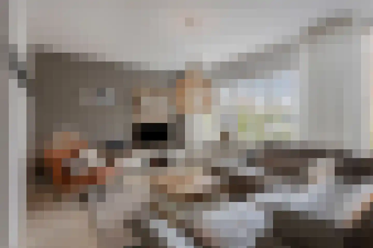 Scandinaviëstraat 4 Bergen op Zoom thumbnail 8