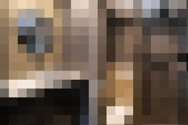 Scarlattilaan 10 Apeldoorn thumbnail 31