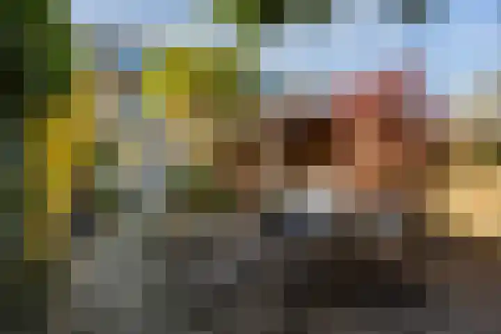 Scarlattilaan 7 Apeldoorn thumbnail 20