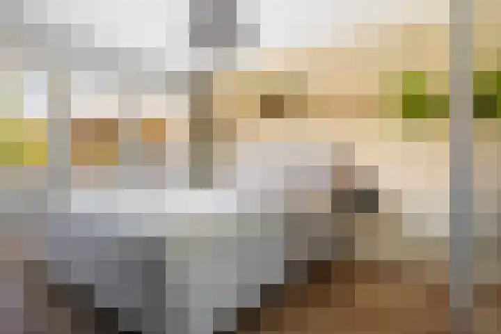 Scarlattilaan 7 Apeldoorn thumbnail 27