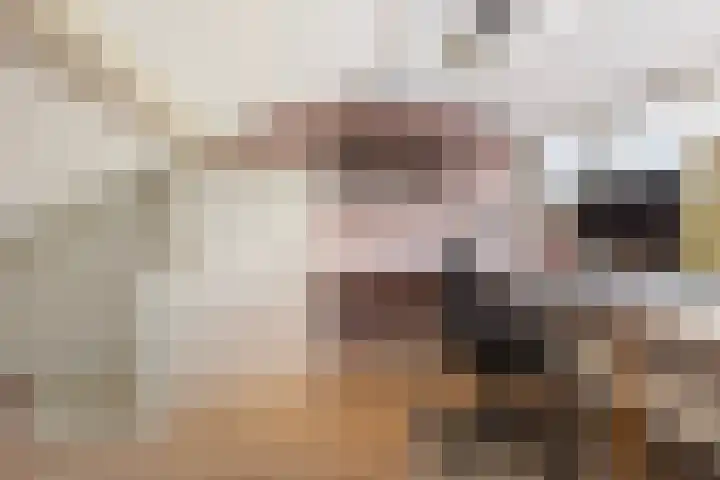 Scarlattilaan 7 Apeldoorn thumbnail 37