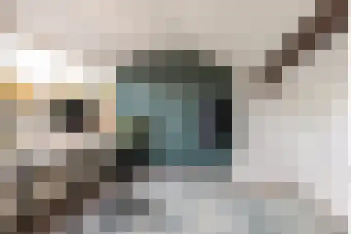 Scarlattilaan 7 Apeldoorn thumbnail 38