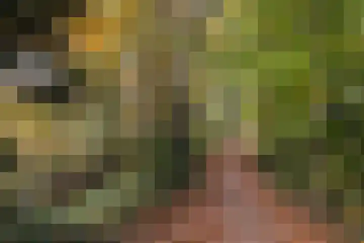 Scarlattilaan 7 Apeldoorn thumbnail 45
