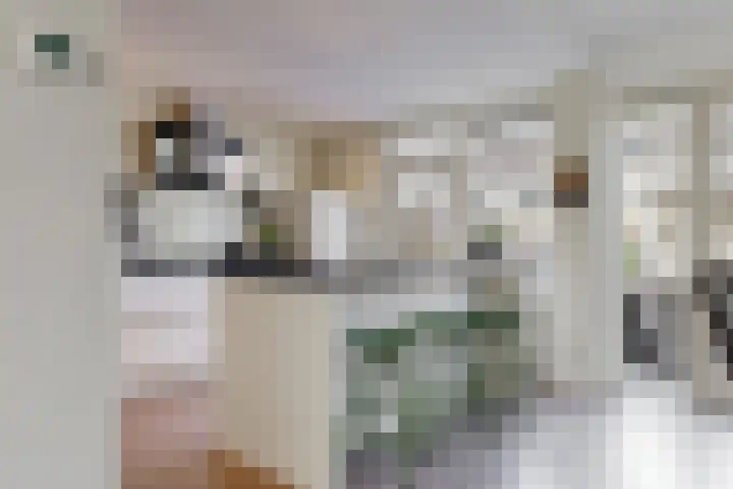 Scarlattilaantje 7 Aalsmeer thumbnail 15
