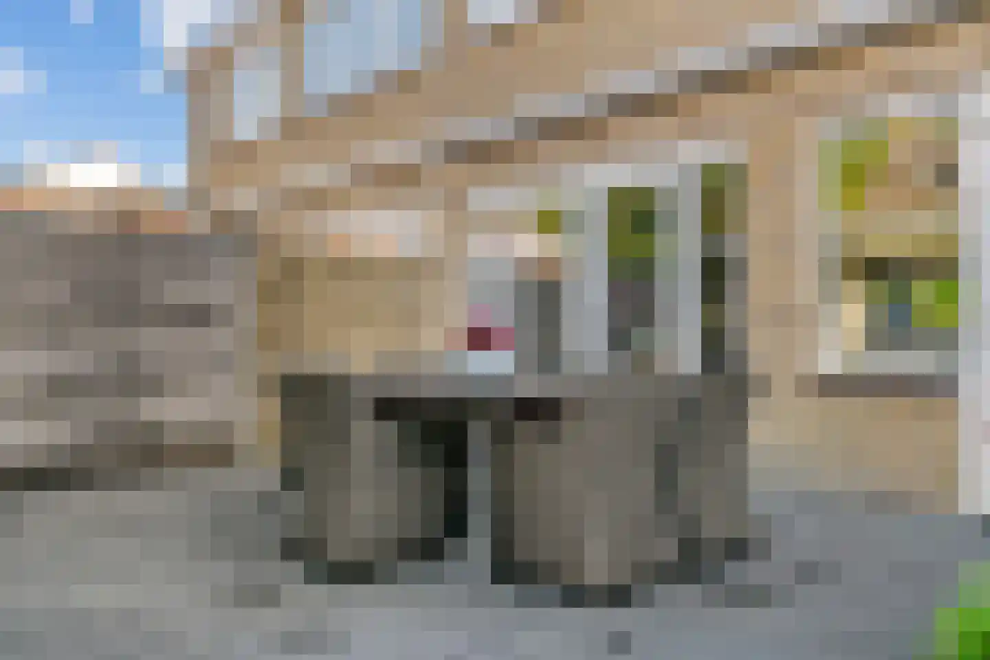 Scarlattilaantje 7 Aalsmeer thumbnail 21